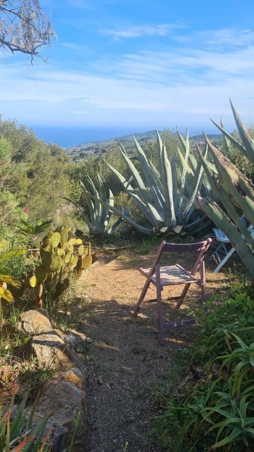 Casa Merea 16 Costa d'Oneglia Eksteriør billede