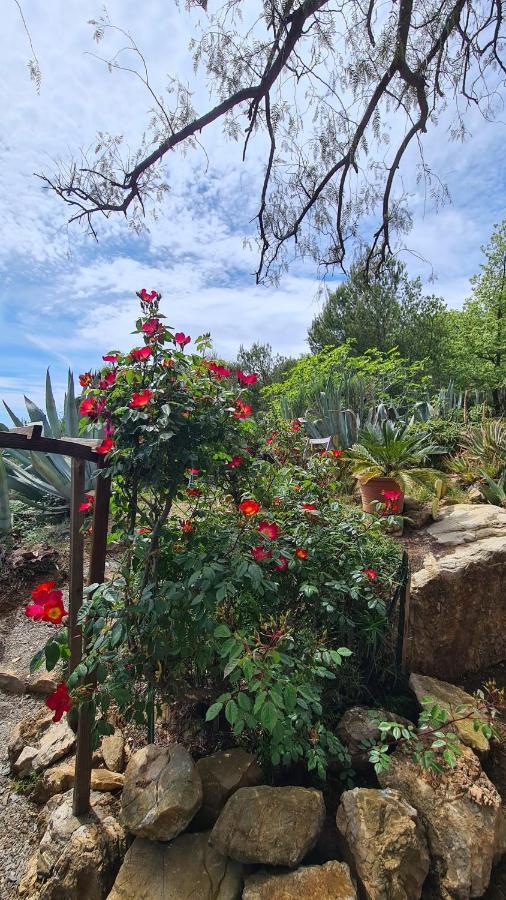 Casa Merea 16 Costa d'Oneglia Eksteriør billede